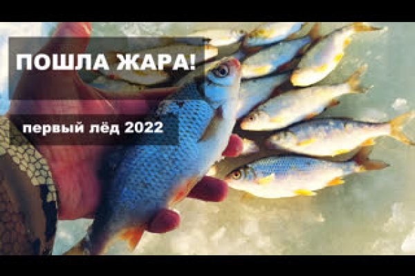 Рабочее зеркало на кракен