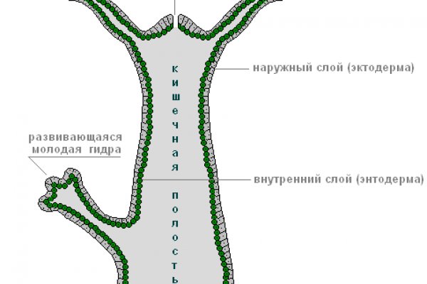 Кракен что это магазин
