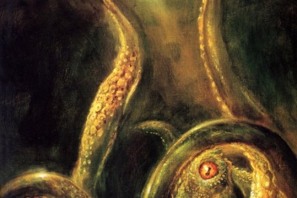 Kraken что это за сайт