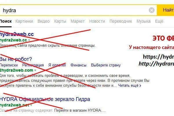 Кракена точка нет