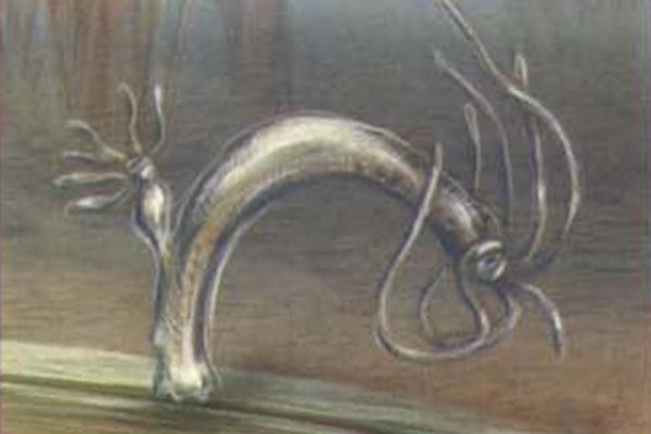 Craken12 at