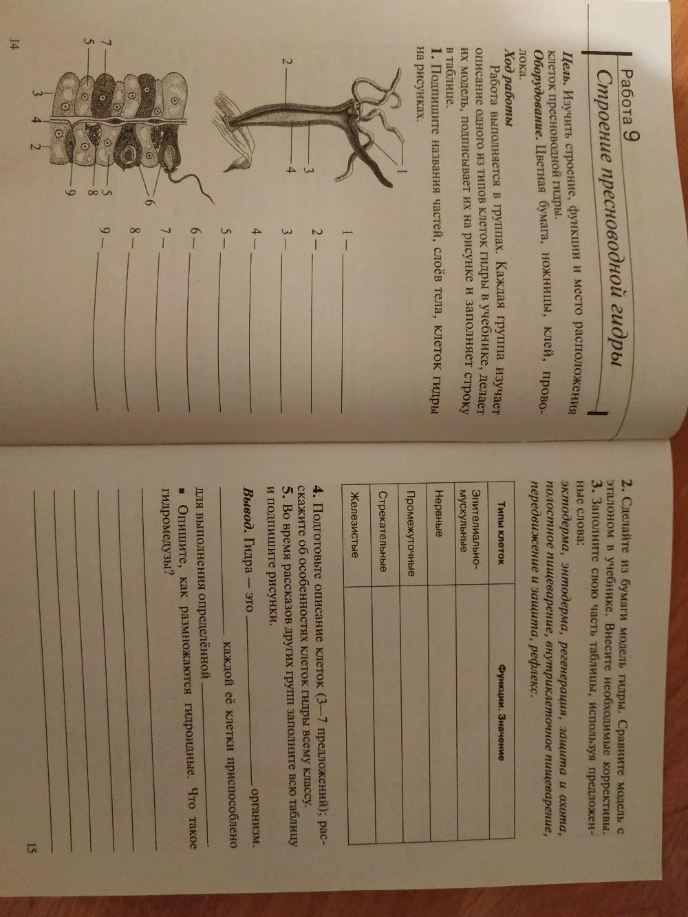 Kraken ссылка kraken torion