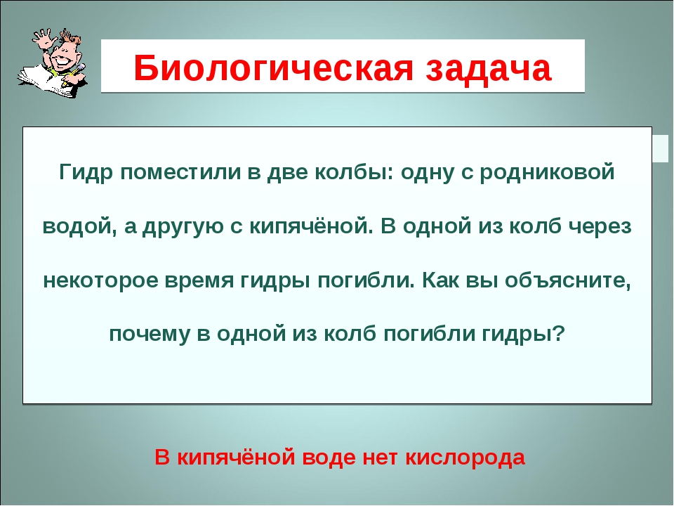 Переход на кракен