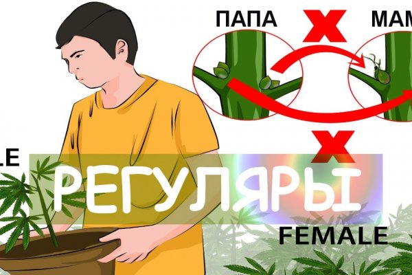 Кракен ссылка 2web krakendark link
