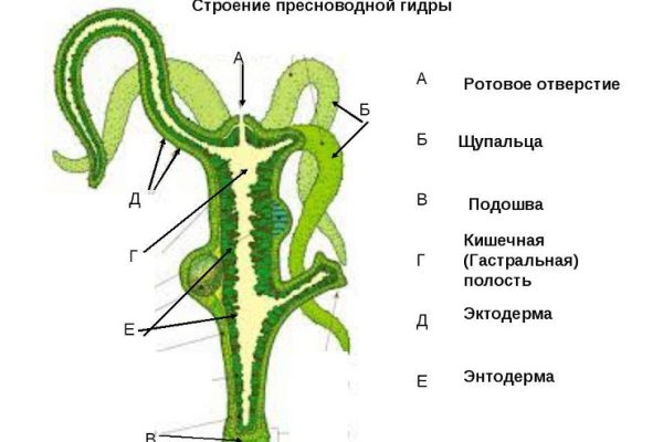 Kra26.cc