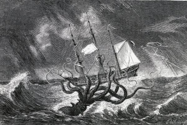 Kraken18 at