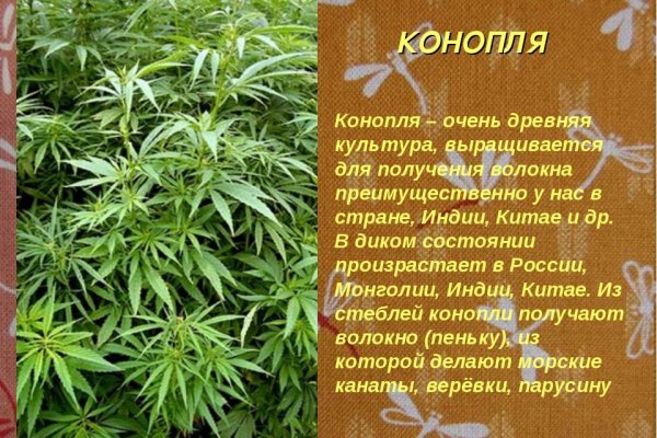 Спрут мега кракен
